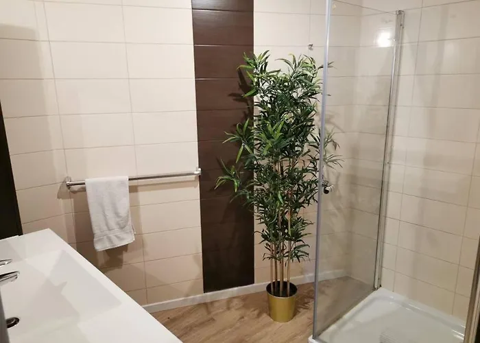 Large Modern Flat Parkingterrace - 217 Daire *